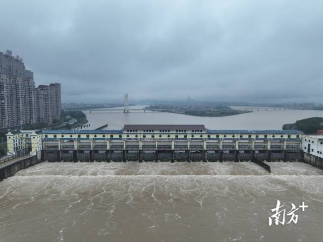 同一天發生兩次編號洪水，廣東全力筑牢防洪保安堅固屏障