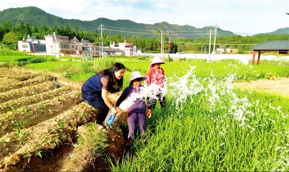 【榜样力量】优秀共产党员许燕华:到祖国最需要的地方去