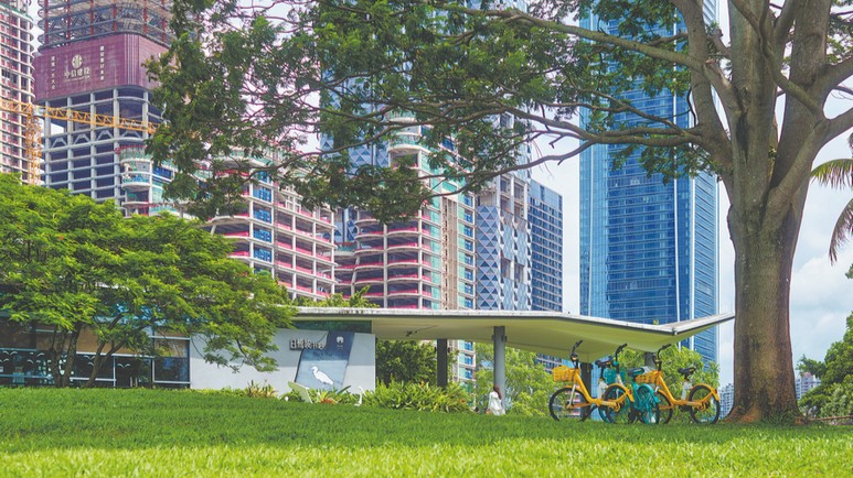Cities revitalizing green spaces with reading areas