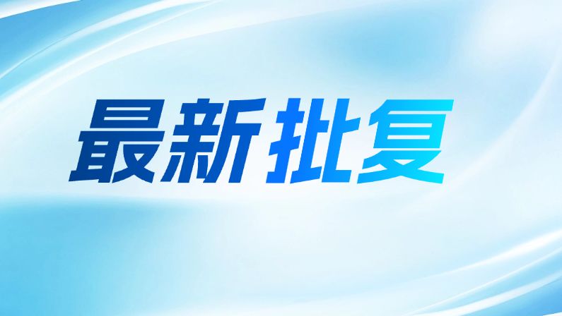 2项规划成果获市政府批复！涉荔湾、白云→