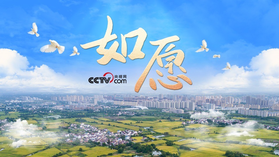 时政微视频｜如愿