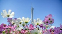 广州着实太有面子了 广州着实太有面子了