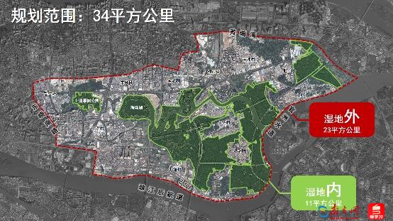 果园“变身”万亿级绿色增长极!塑造环海珠湿地价值圈高质量保护发展新格局