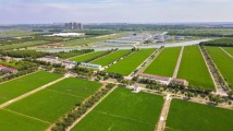 国务院印发《关于开展第四次全国农业普查的通知》 国务院印发《关于开展第四次全国农业普查的通知》