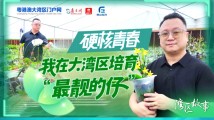 硬核青春|我在大湾区培育“最靓的仔” 硬核青春|我在大湾区培育“最靓的仔”