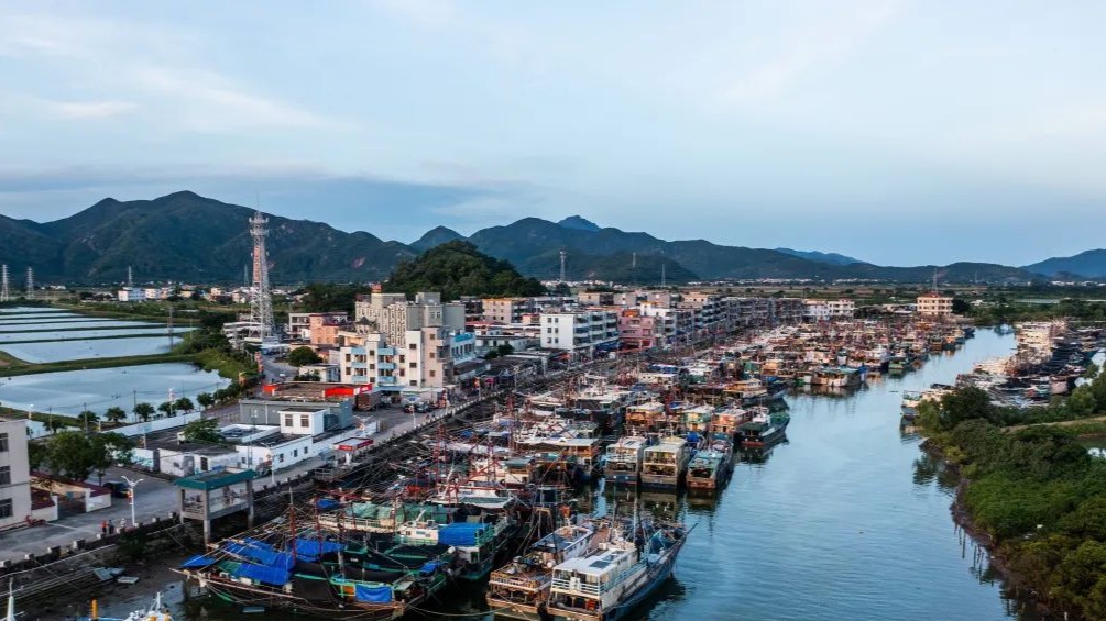 江门台山：构建海上网格，让海洋“枫”景一路生花