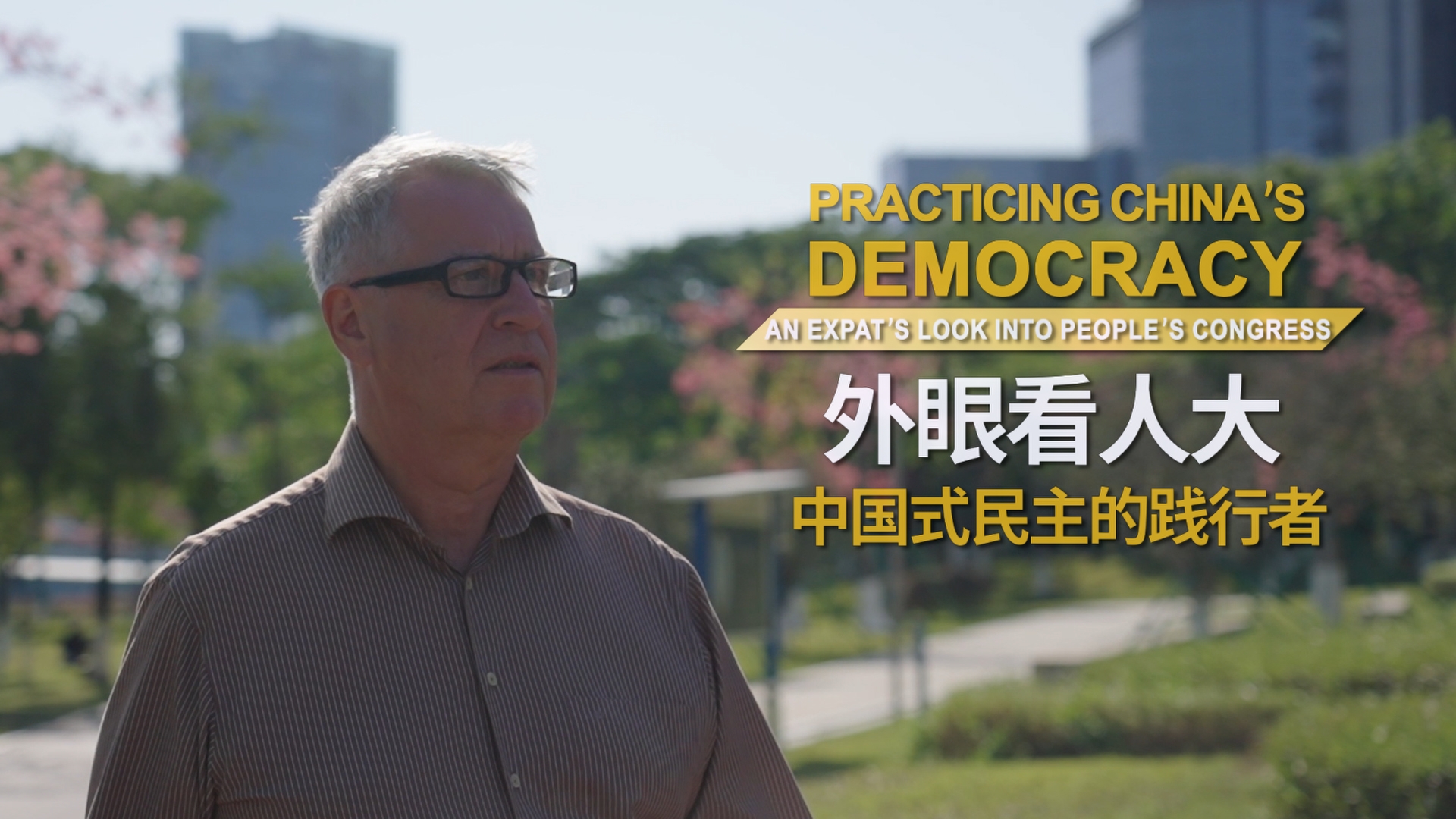 Practicing China's democracy – An expat's look into People's Congress | The law manifests from among the people: A deputy's work diary