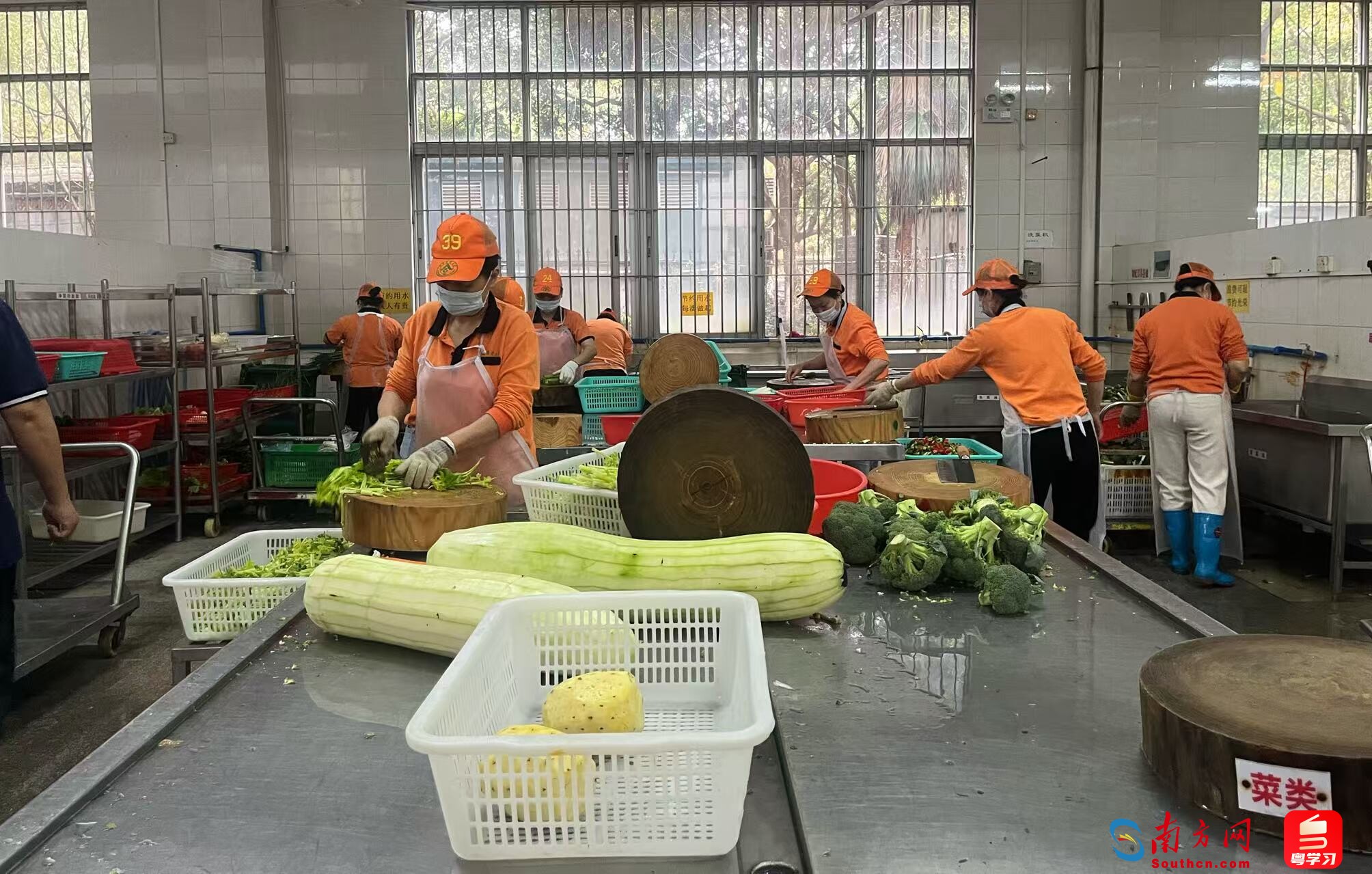 挖掘院?！皩毑亍保鼜脑搭^到餐桌 守護(hù)高校師生“舌尖安全”