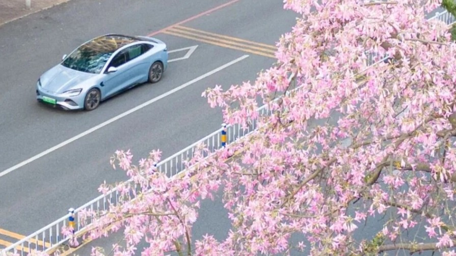 Street as beautiful as painting | Discover Huizhou