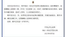 致3死7伤!河南平顶山驾车撞人嫌犯已被抓获 致3死7伤!河南平顶山驾车撞人嫌犯已被抓获