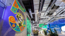 第五届进博会布展工作有序进行 第五届进博会布展工作有序进行