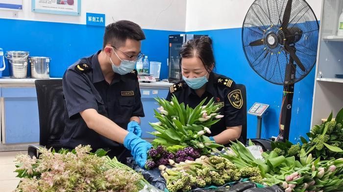 母亲节临近 各式进口鲜切花卉热销广州