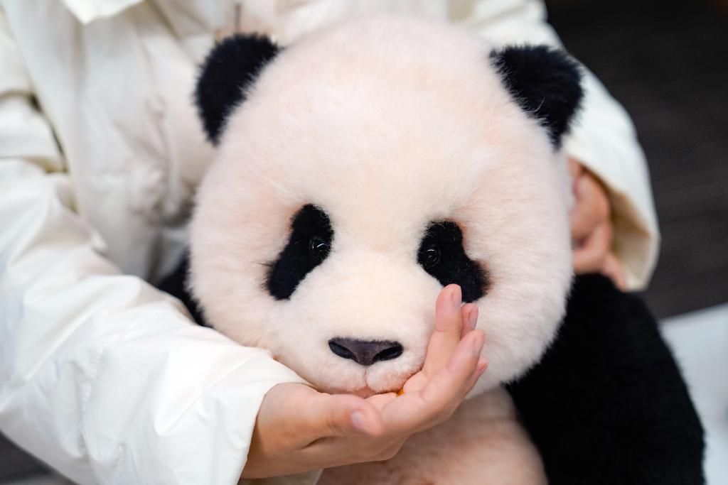 China's innovative panda toys get popular around the world