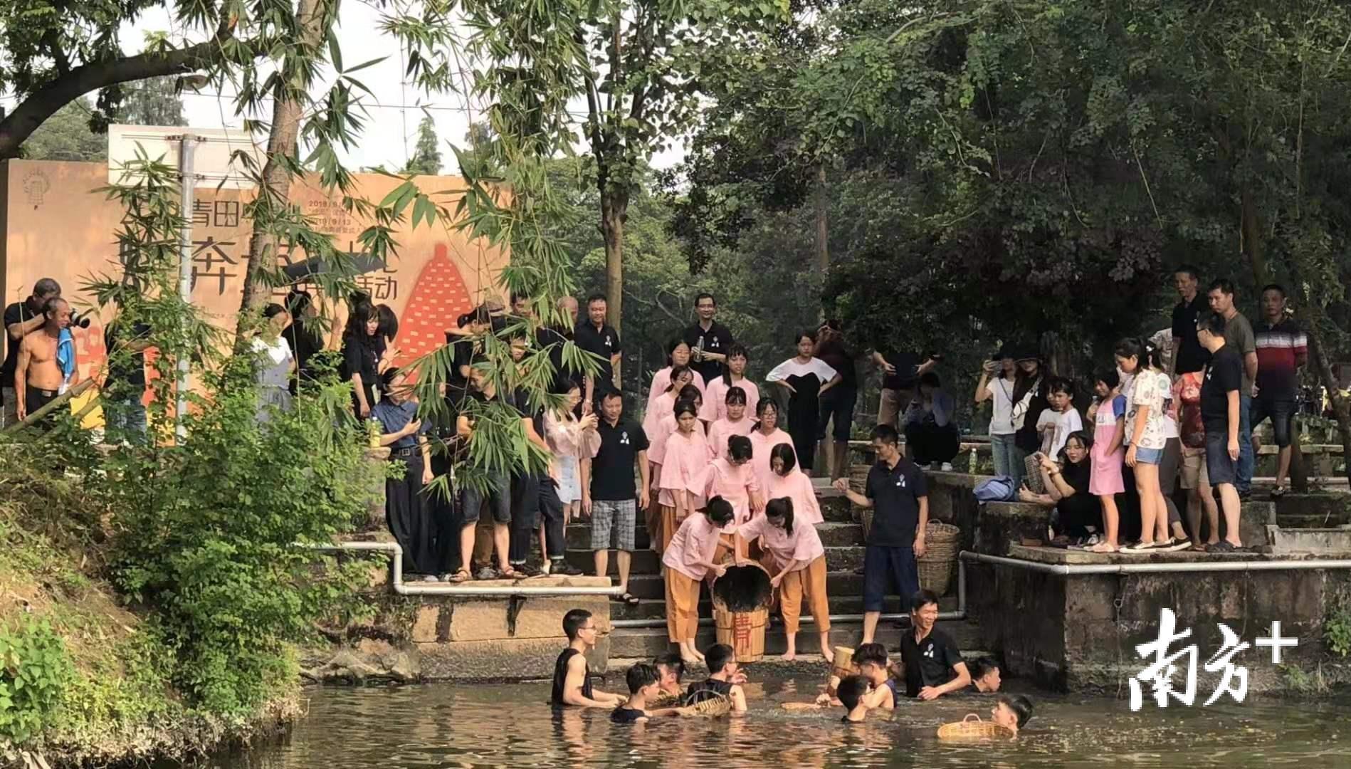 中秋节前，青田青年潜入河塘挖上淤泥。榕树头基金会供图