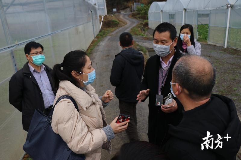 广东省妇联派专人前往蔬菜基地考察。