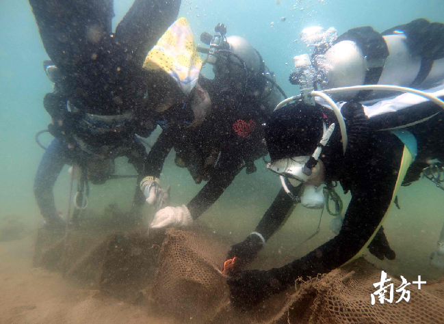 潜爱志愿者在海底进行废弃渔网清理