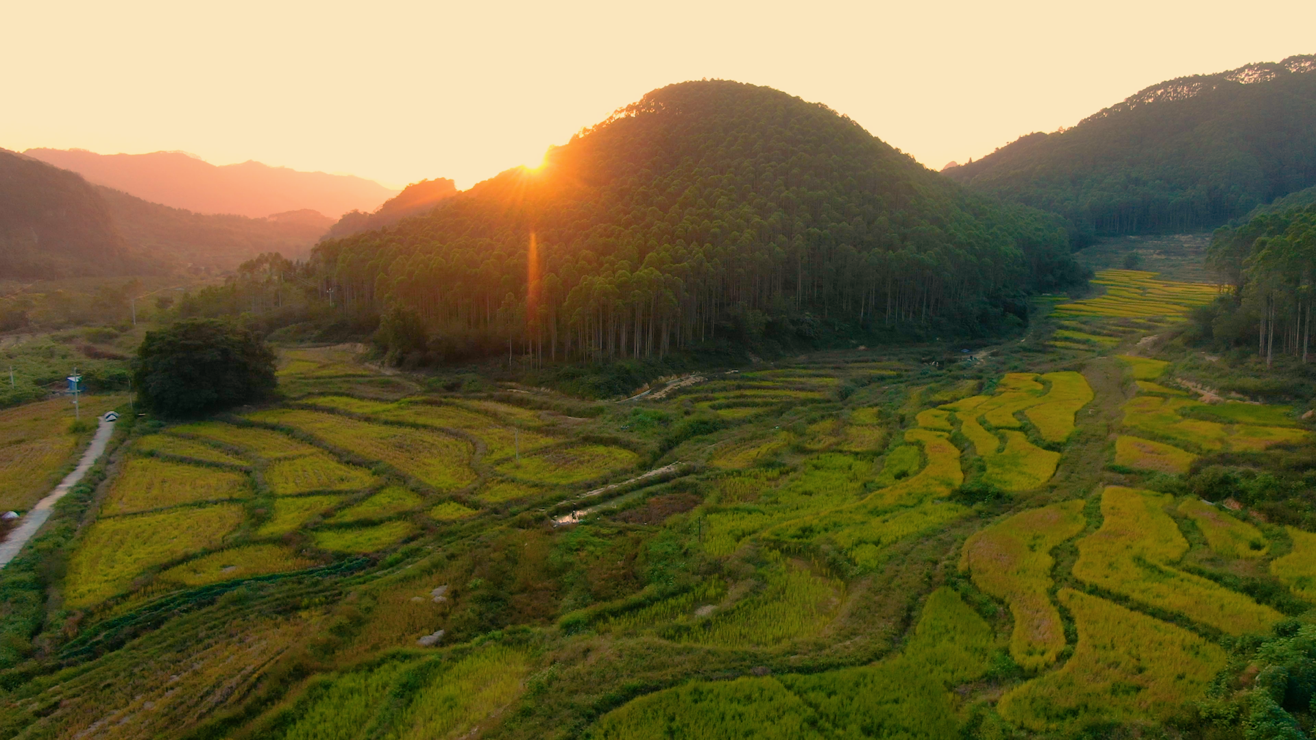 夕阳下的下迳村田野。