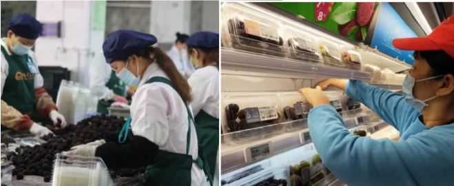 盒马加工中心，工人们正在打包新鲜的杨梅