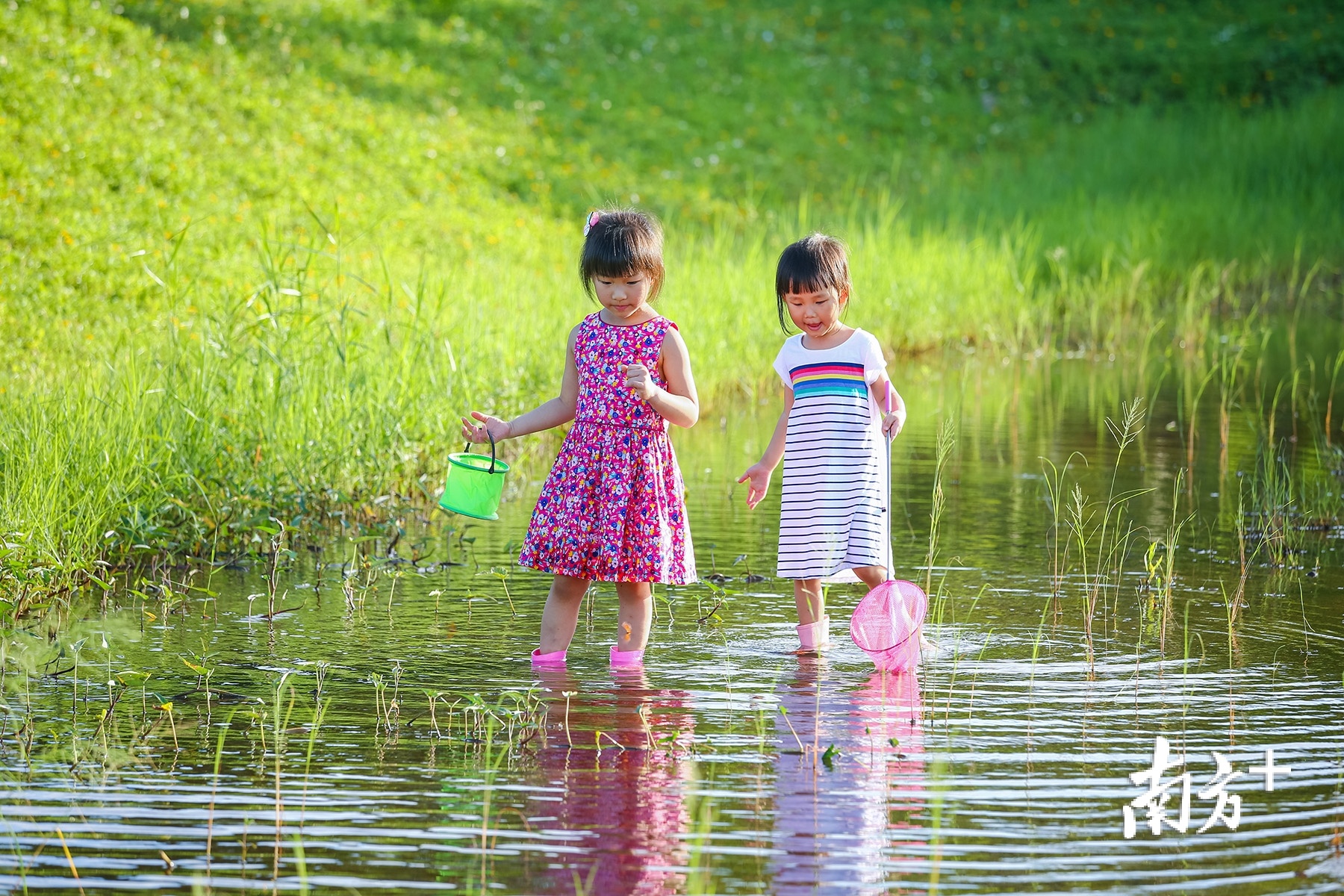 6月3日，两个小女孩在斗门湿地公园，享受夏天的亲水乐趣。 林晓森 摄