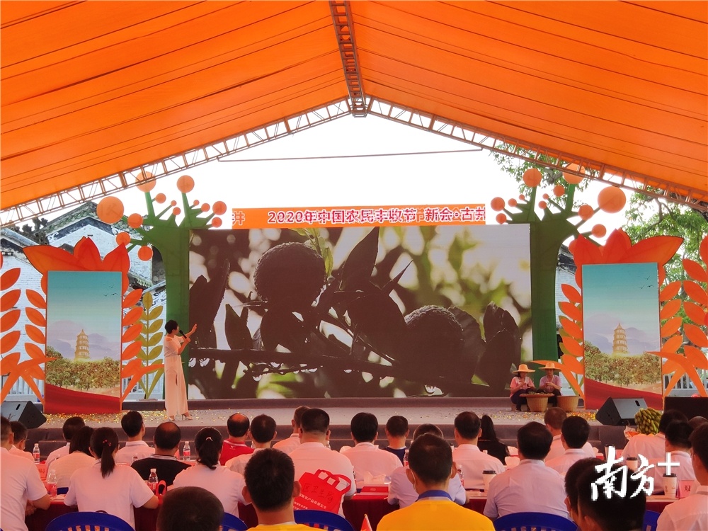演艺家为新会柑林代言。