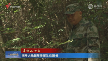 【喜迎二十大】南粤大地铺展美丽生态画卷 【喜迎二十大】南粤大地铺展美丽生态画卷
