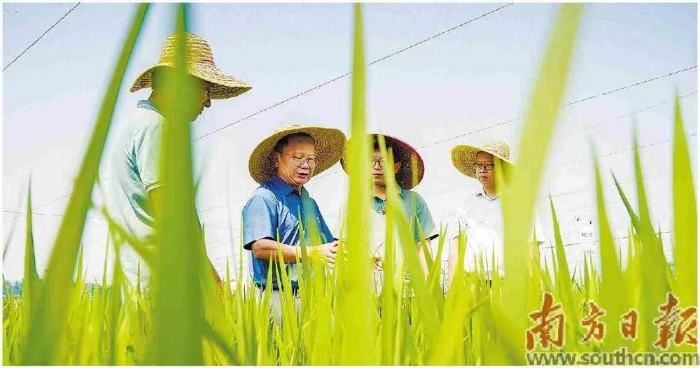 广东着力打造懂农业、爱农村、爱农民的“三农”工作队伍