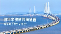 四年半建成跨海通道,黄茅海上发生了什么? 四年半建成跨海通道,黄茅海上发生了什么?