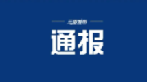 铁皮石斛二两多被要价2100元?三亚通报 铁皮石斛二两多被要价2100元?三亚通报