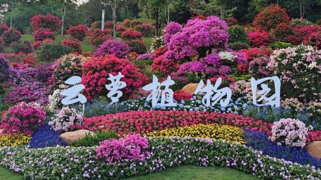 Follow this guide and check out Yunluo Botanical Garden