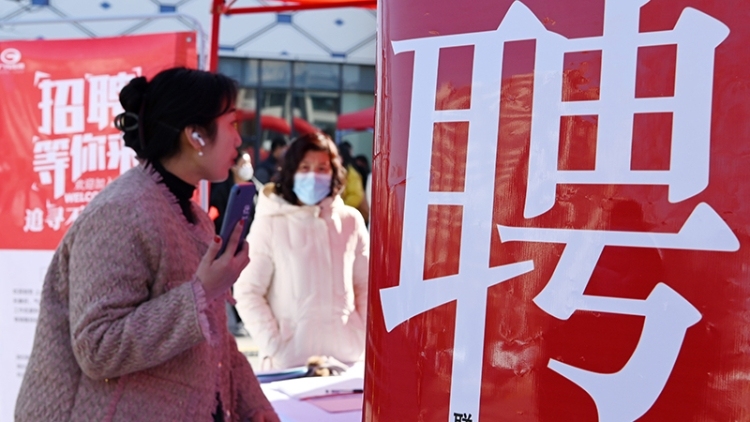 带编制岗位“上新”！东莞公开招聘事业编制教师331名｜在+求职