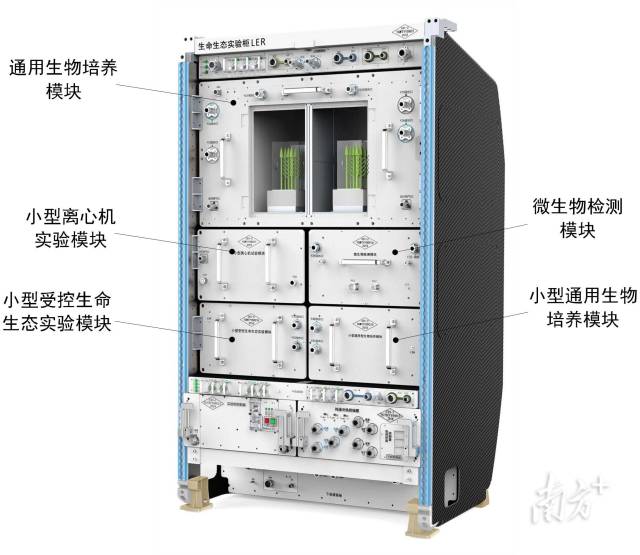 中国空间站生命生态实验柜的系统组成图。