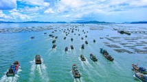 强信心 稳预期 促发展丨潮州:多管齐下 “筑梦蔚蓝” 强信心 稳预期 促发展丨潮州:多管齐下 “筑梦蔚蓝”