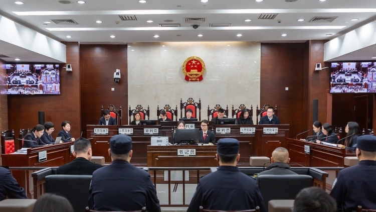 以案释法！广州海珠法院公开宣判一起非法捕鸟案