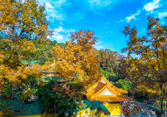 圭峰山。