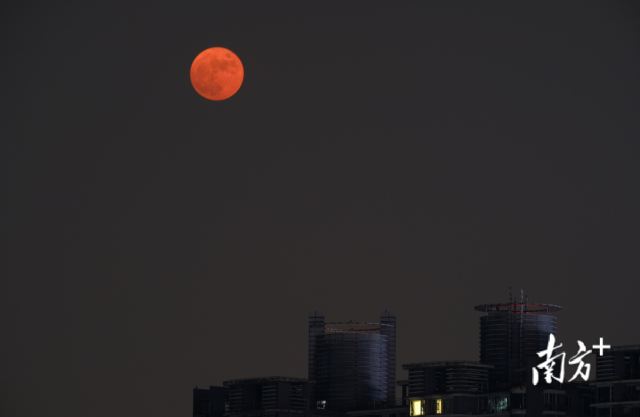 中秋夜，红月亮从广州天河高楼后面缓缓升起。南方拍客 恒星影画 摄