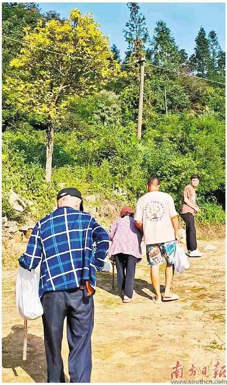 警惕！广州已进入登革热高发期，隐性感染者也可能成为传染源