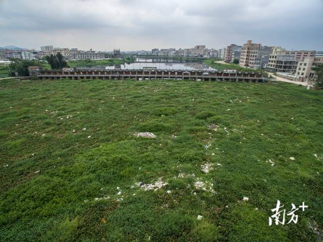 黑龙江省市场监管局倾情“三问”抓快检 “五进”活动解民忧