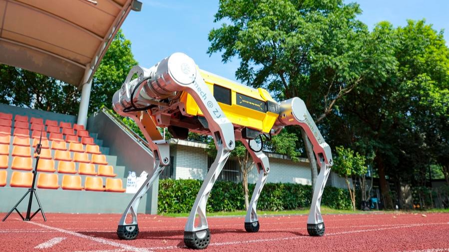Chinese quadruped robot sets 100m sprint Guinness World Record
