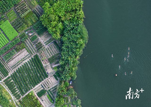 Robotaxi竞争加剧！特斯拉(TSLA.US)加快布局 优步(UBER.US)-Lucid(LCID.US)-Nuro联合发力