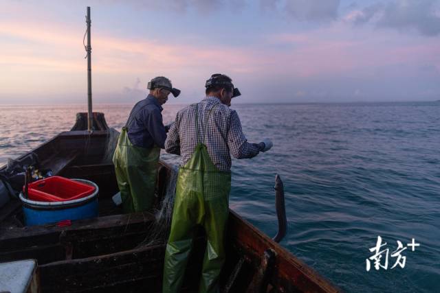 山西省落实食品安全“两个责任”工作机制领导小组及工作专班会议召开