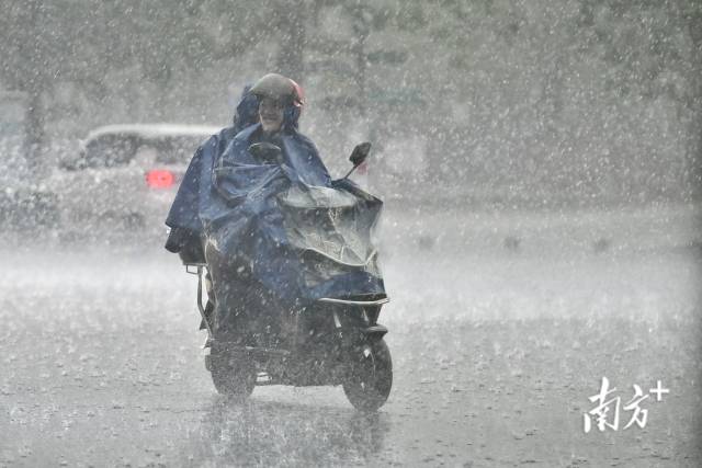 3月24日以来，受强对流天气影响，佛山连日多雨。戴嘉信 摄