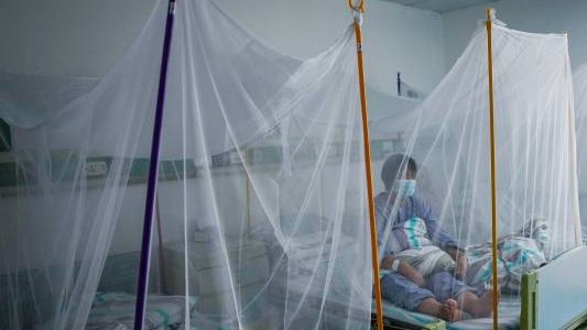 战蚊断链！记者直击顺德基孔肯雅热歼灭战一线