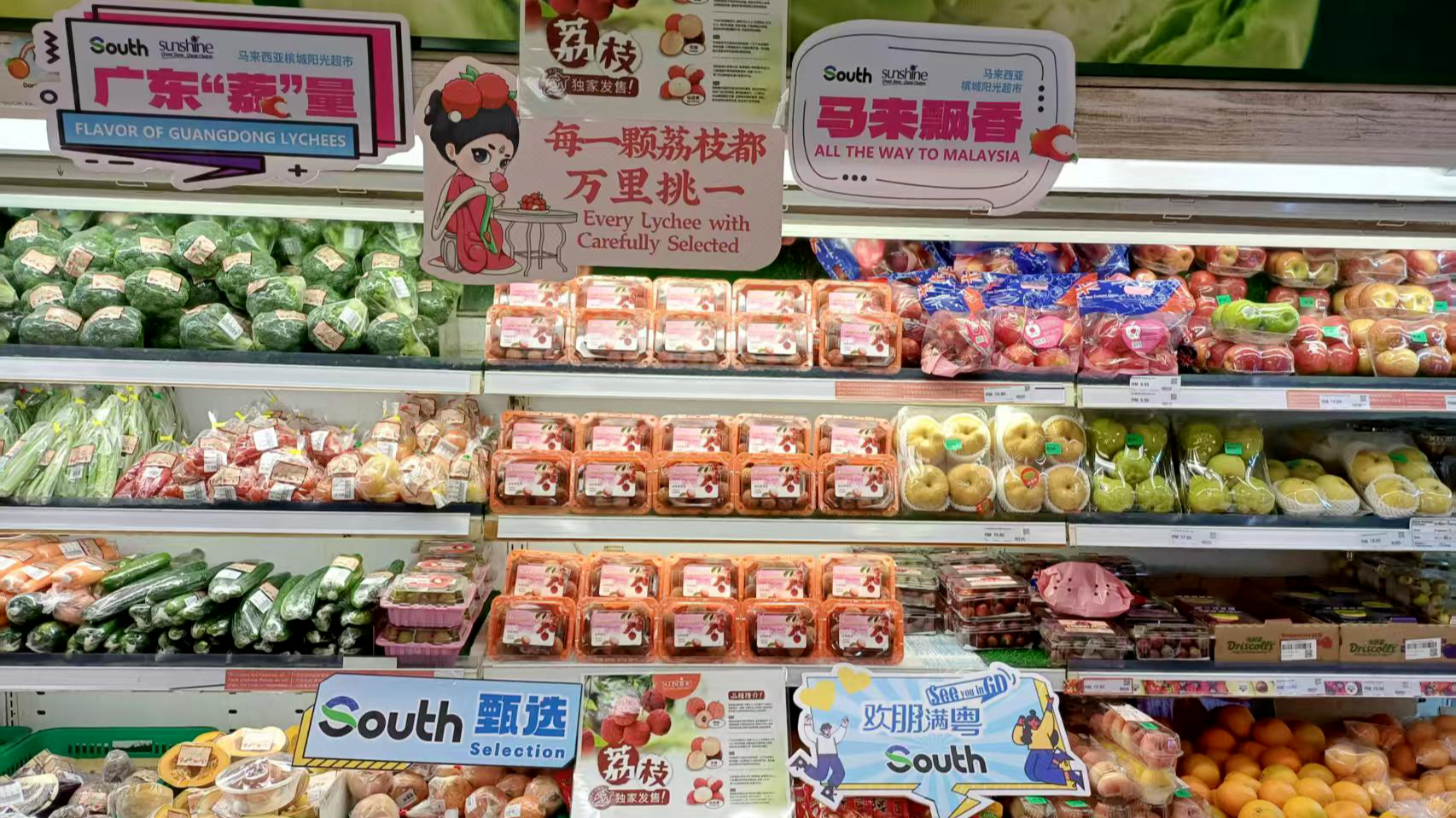Guangzhou lychee exports skyrocket 250% with South's efforts to boost global reach