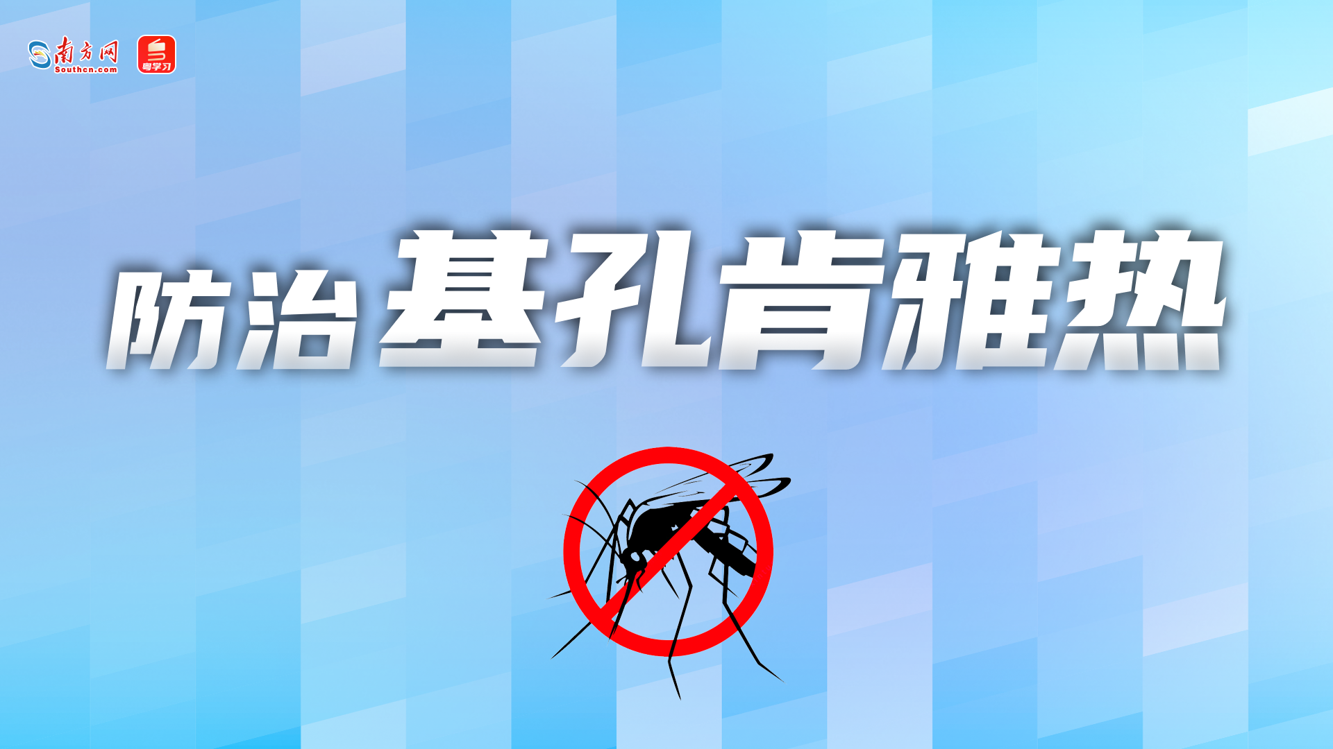 【专题】防治基孔肯雅热