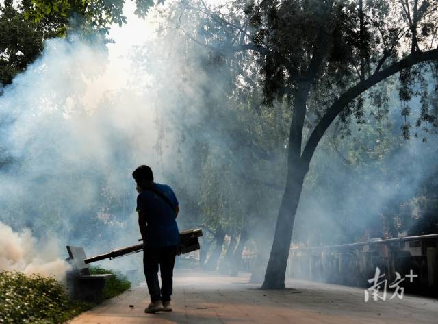 乐从社区对公共区域、绿化带、下水道等容易滋生蚊虫的地方进行细致消杀。  