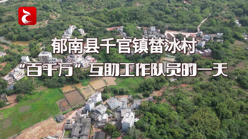 聚焦“百千万工程”丨郁南县榃冰村：“百千万”互助工作队员的一天