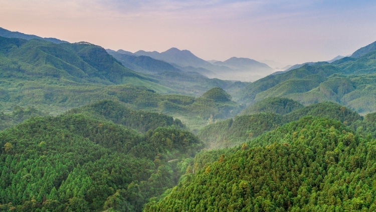 廣東多地上榜!今年9月和1-9月全國環(huán)境空氣質(zhì)量狀況出爐