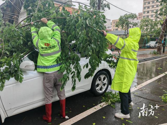 南方+ 张艳 拍摄