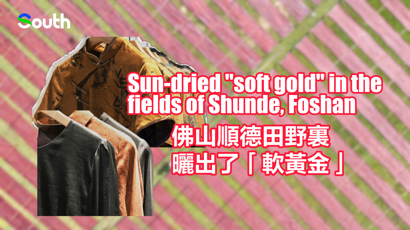 Sun-dried "soft gold" in fields of Shunde, Foshan