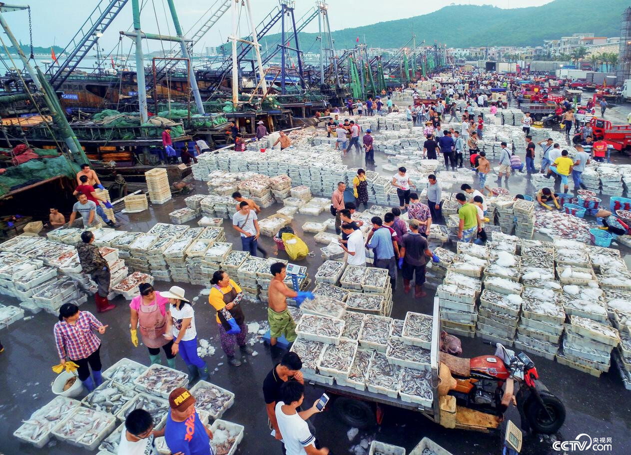 渔港上正在进行繁忙的海产交易